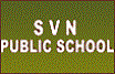 SVN Public School